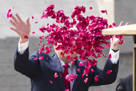 도널드 트럼프 미국 대통령과 멜라니아 여사가 25일(현지시간) 인도 뉴델리의 라지가트에서 열린 ‘인도 독립 아이콘 마하트마 간디 추모식’에 참석해 경의를 표하기 위해 장미 꽃잎을 뿌리고 있다. AP 연합뉴스