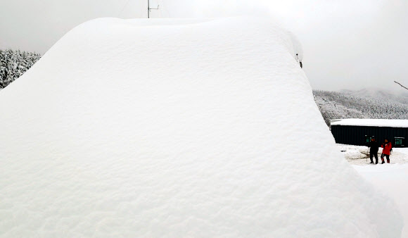 폭설에 파묻힌 대관령 차량