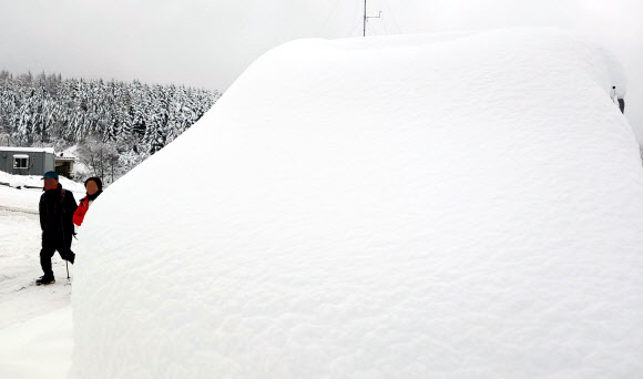 폭설에 파묻힌 대관령 차량