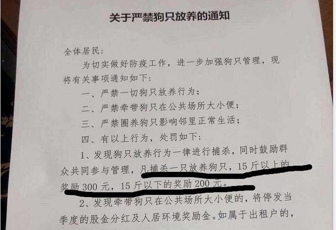풀어 놓은 개 도살 방침 알리는 중국 아파트 공고문  중국 웨이보 캡처