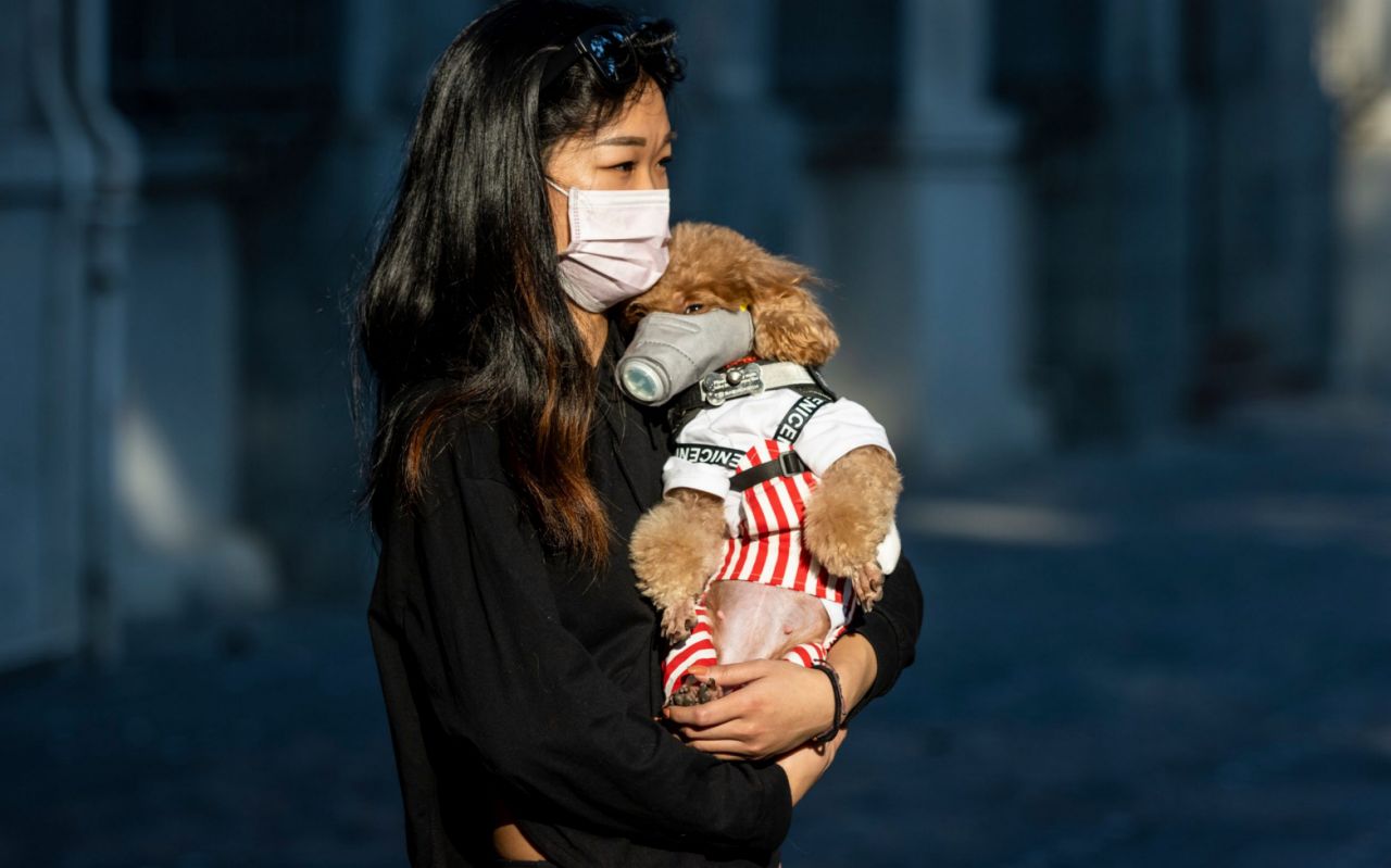 한 중국 여성이 반려견에도 마스크를 씌운 채 거리를 걷고 있다. 로이터 자료사진