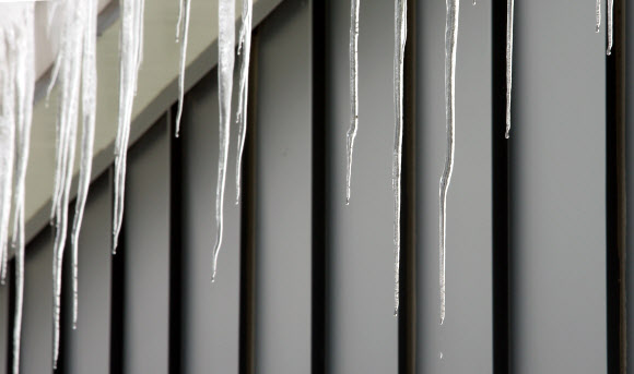 대관령 고드름도 녹는 포근한 주말 휴일