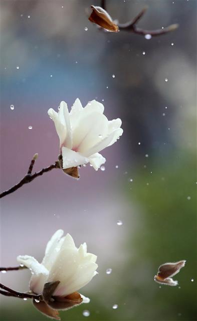 ‘코로나19 이겨내자’ 힘내라 대구!