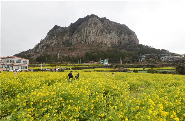 ‘봄이 왔어요’