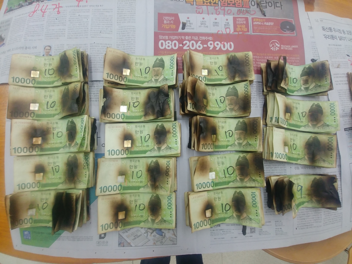 코로나19 소독을 한다고 지폐를 전자레인지에 넣고 돌렸다가 훼손되는 사례가 잇따르고 있다.  한국은행 제공