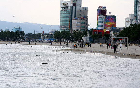 15일 경북 포항 영일대해수욕장에 시민과 관광객이 나와 바람을 쐬고 있다. 2020.3.15  연합뉴스