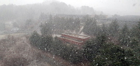 강원 중북부 산지에 대설주의보가 내려진 15일 오후 강릉지방에 함박눈이 펑펑 쏟아지고 있다. 2020.3.15  연합뉴스