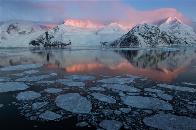 지구온난화로 인해 남북극 빙하가 지금과 같은 속도로 계속 녹아내리면 적도에 위치한 열대지역에는 사람이 거주하기 힘들 정도의 극한기후가 형성된다는 연구 결과가 발표됐다. 사진은 남극 안드보르드만에 빙하들이 녹아 얇은 조각처럼 떠 있는 모습. 미국 캘리포니아 샌디에이고대 제공