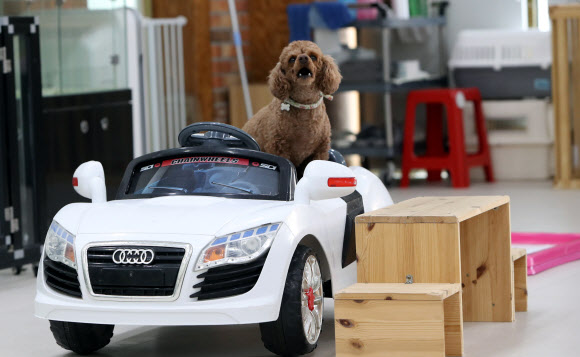 ‘밖에 나가고 싶어요’