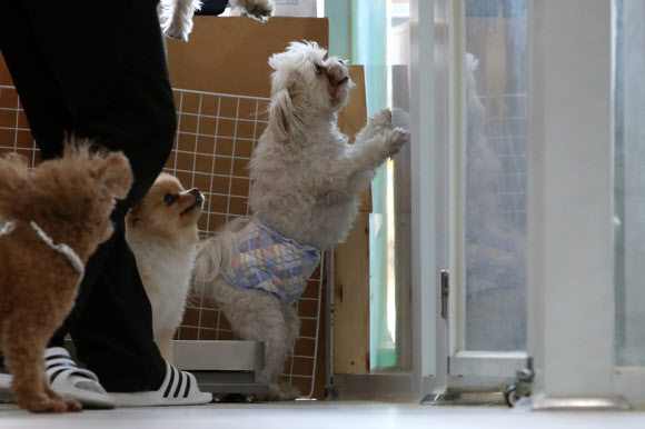 ‘바깥 공기가 그리워요’