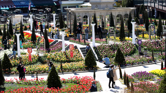 22일 오후 경기도 용인시 에버랜드를 찾은 시민들이 활짝 핀 튤립을 감상하고 있다. 2020.3.22  연합뉴스