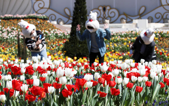 22일 오후 경기도 용인시 에버랜드를 찾은 시민들이 활짝 핀 튤립을 감상하고 있다. 2020.3.22  연합뉴스