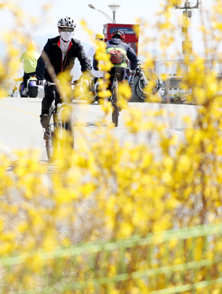 낮 기온이 20도를 웃돌며 완연한 봄 날씨를 보인 22일 대구 달성군 다사읍 강정고령보에서 가족 단위 나들이객들이 신종 코로나바이러스 감염증(코로나19)에 대한 우려를 잠시 잊고 자전거 타기와 산책 등 야외활동을 즐기고 있다. 2020.3.22  연합뉴스