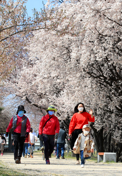 봄맞이 ‘마스크’ 산책