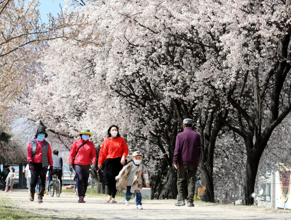 봄맞이 ‘마스크’ 산책
