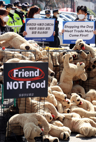 동물해방물결,‘개 도살 금지’ 공약 촉구