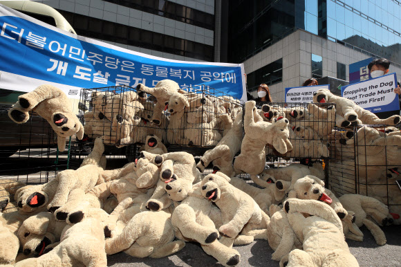 더불어민주당사 앞 동물해방물결 기자회견