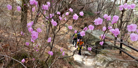 봄 찾아온 북한산