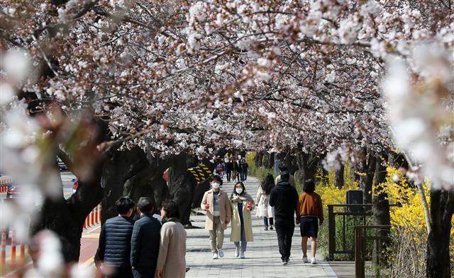 ‘꽃놀이는 내년에’ 사회적 거리두기 필요해요