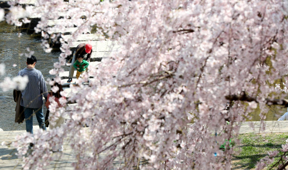 ‘어느샌가 벌써 봄이 와 있네’