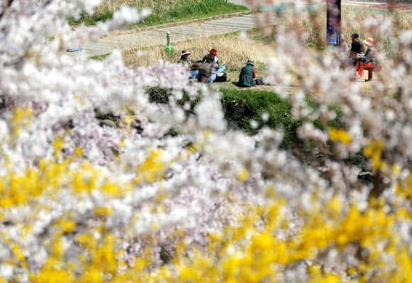 조용히 찾아온 봄