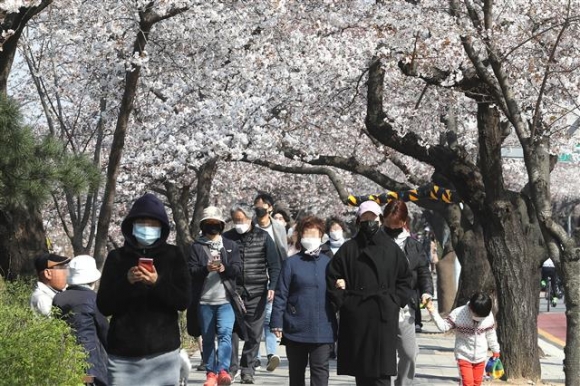 ‘답답함에 벚꽃 산책 나선 시민들’