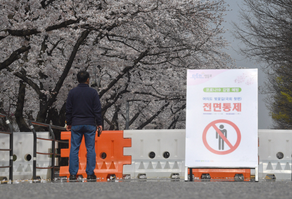 코로나 19 여파로 여의도 벚꽃길 출입이 전면 통제된 2일 서울 여의도에서 한 시민이 막힌 도로 앞에 서 있다. 2020.4.2  박지환 기자 popocar@seoul.co.kr