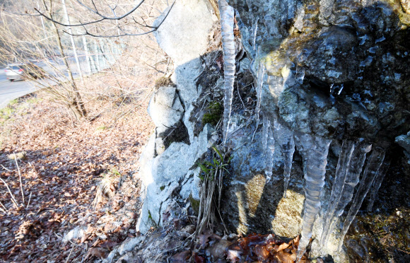 다시 한겨울 날씨로 돌아간 대관령