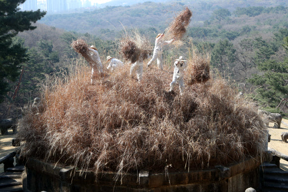 ‘왕이시여 시원하십니까’