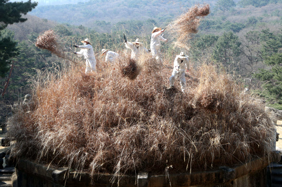 ‘왕이시여 시원하십니까’