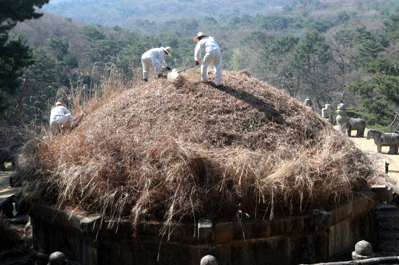 ‘왕이시여 시원하십니까’