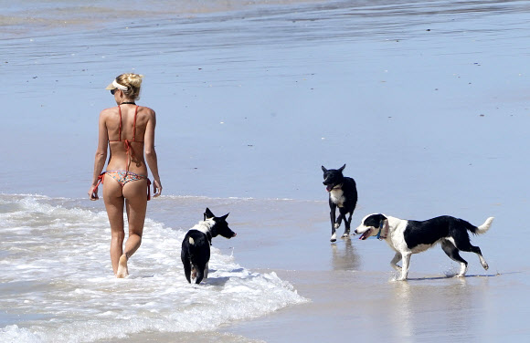 코로나19 확산으로 이동제한 명령이 내려진 가운데 6일(현지시간) 호주 퀸즐랜드주 골드코스트 듀란바 비치에서 한 여성이 애완견과 함께 산책을 하고 있다. EPA 연합뉴스