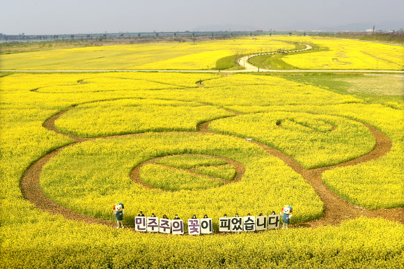 7일 오전 부산 강서구 대저생태공원 유채꽃밭에 부산시 선관위와 강서구 선관위 직원들이 제21대 국회의원 선거 투표 참여를 독려하는 캠페인을 벌이고 있다. 2020.4.7  연합뉴스
