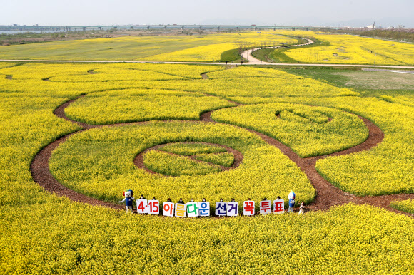 7일 오전 부산 강서구 대저생태공원 유채꽃밭에 부산시 선관위와 강서구 선관위 직원들이 제21대 국회의원 선거 투표 참여를 독려하는 캠페인을 벌이고 있다. 2020.4.7  연합뉴스