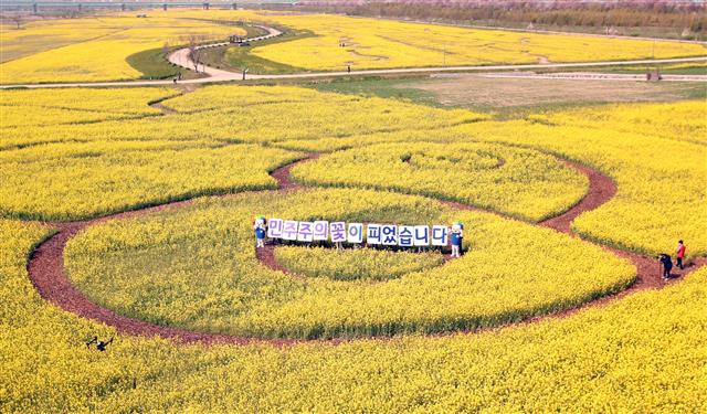 7일 오전 부산 강서구 대저생태공원 유채꽃밭에서 부산시선거관리위원회와 강서구선거관리위원회 직원들이 ‘아름다운 선거’홍보 캠페인을 하고 있다. 2020.4.7 뉴스1
