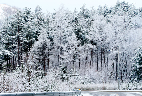 겨울로 돌아가는 길