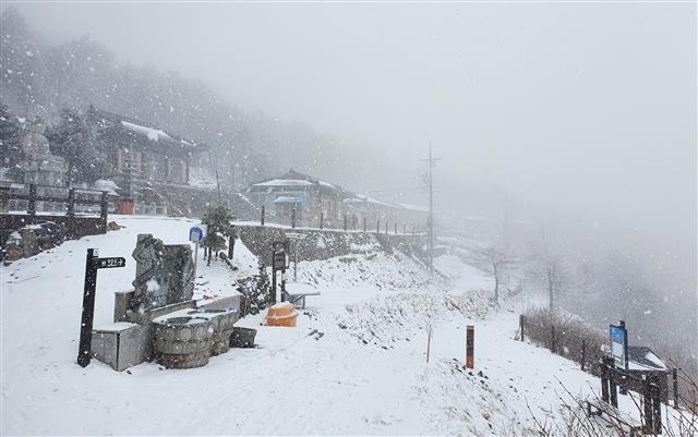 태백산 4월의 눈 ‘펑펑’