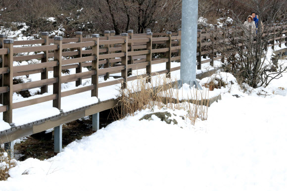 폭설 내린 1100고지