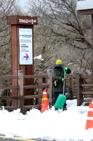 폭설 내린 1100고지