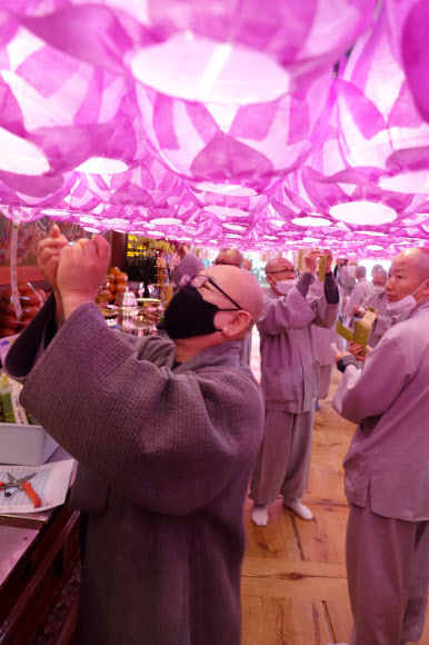 조계사 주지 지현 스님(왼쪽 첫 번째)과 남전 스님(가운데) 등 스님들이 불기 2564년 부처님 오신 날을 보름 정도 앞둔 14일 서울시 종로구 조계사 대웅전에서 올해 대웅전 연등 이름표를 달고 있다. 대한불교조계종은 올해 부처님 오신 날 행사를 코로나19 때문에 한 달 늦춰 음력 윤달 4월 초파일인 5월 30일 개최한다. 2020.4.14  연합뉴스