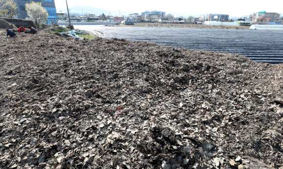 14일 오전 강원 춘천시 우두동의 한 공터에 전날 쌓여있던 감자가 대부분 동이 나 있다. 한 지역 농가는 지난해 풍작으로 저장 감자 가격이 떨어지고 학교 급식 중단 등으로 납품 경로가 줄어들자 감자를 주민들에게 무상으로 나눠주기 위해 전날 이곳에 감자를 쏟아놓은 것으로 알려졌다. 2020.4.14  연합뉴스