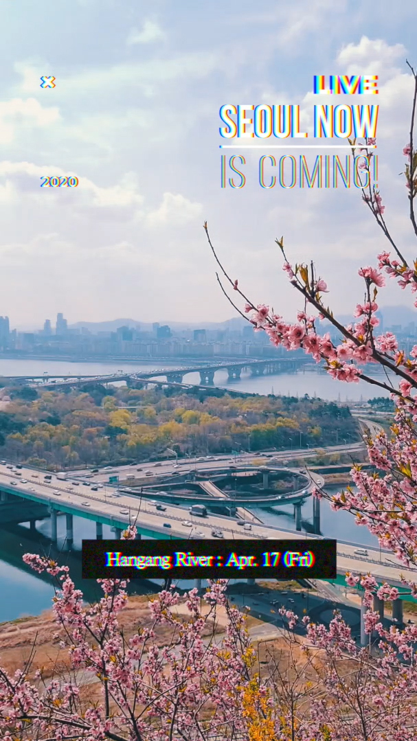 서울관광재단에서 진행하는 라이브 방송 프로그램 #SEOUL NOW의 한 장면. 서울관광재단 제공