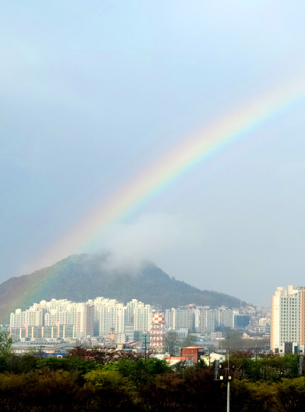 이 봄, 무지개를 봄