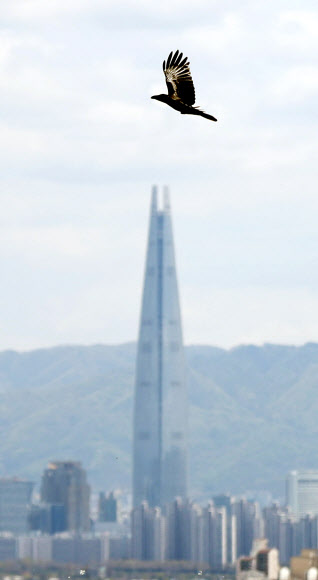 ‘날기 좋은 날’