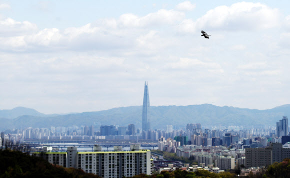 ‘날기 좋은 날’