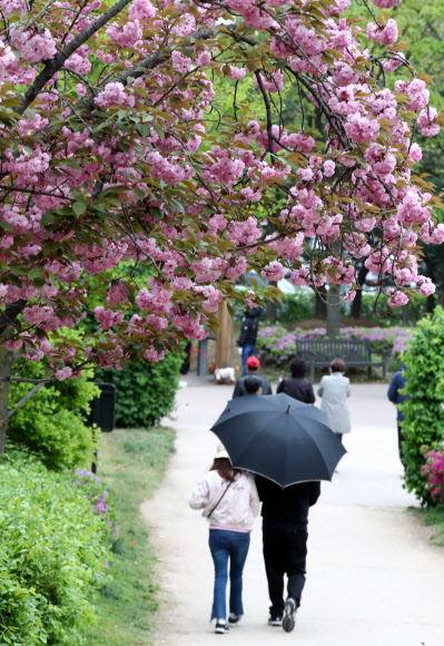 봄비가 내리는 19일 오후 우산을 쓴 시민들이 서울 성동구 서울숲에서 산책하고 있다. 2020.4.19  연합뉴스