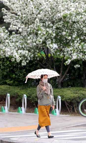 절기상 봄비가 내린다는 곡우(穀雨)인 19일 오후 서울 광화문광장 인근에서 시민이 우산을 쓴 채 발길을 재촉하고 있다. 2020.4.19  연합뉴스