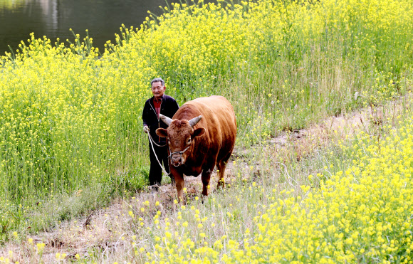 “음∼메” 봄이 좋소
