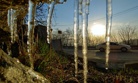 꽃샘추위가 기승을 부린 22일 아침 강원 강릉과 평창을 연결하는 대관령 도로변에 고드름이 달려 있다. 2020.4.22  연합뉴스