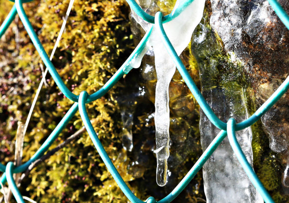 22일 오전 강원 태백시 만항재 도로변에 고드름이 달려있다. 2020.4.22  연합뉴스